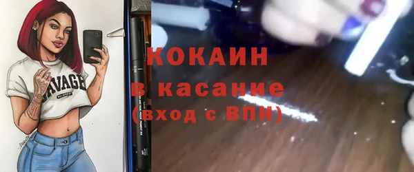 дурь Каменка