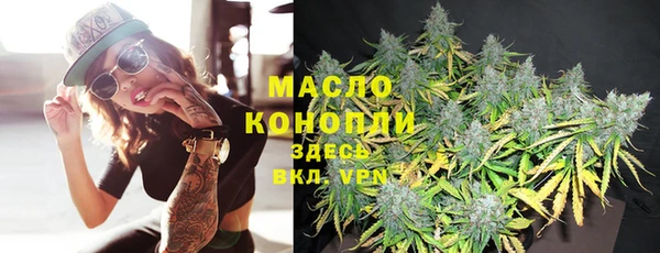 дурь Каменка