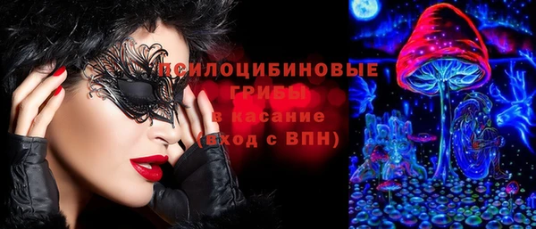 мескалин Карпинск